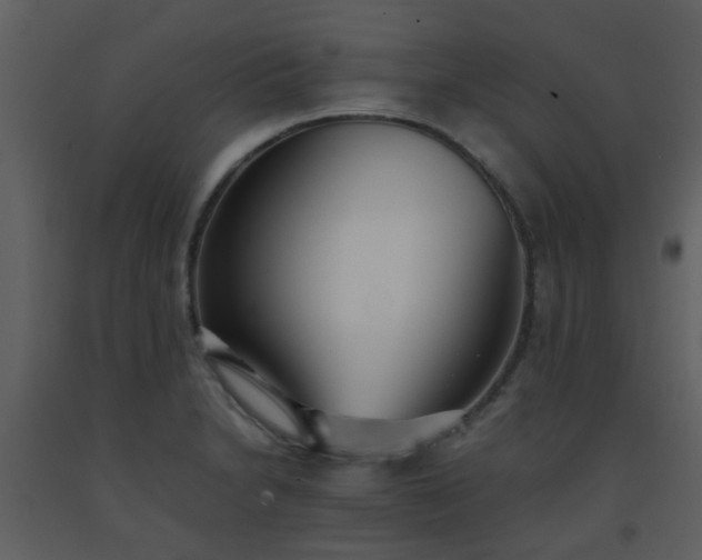 X0000093571230200710221436