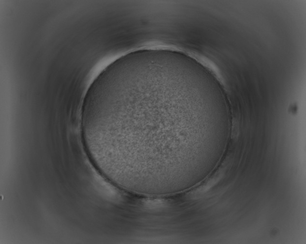 X0000093571231200710221436