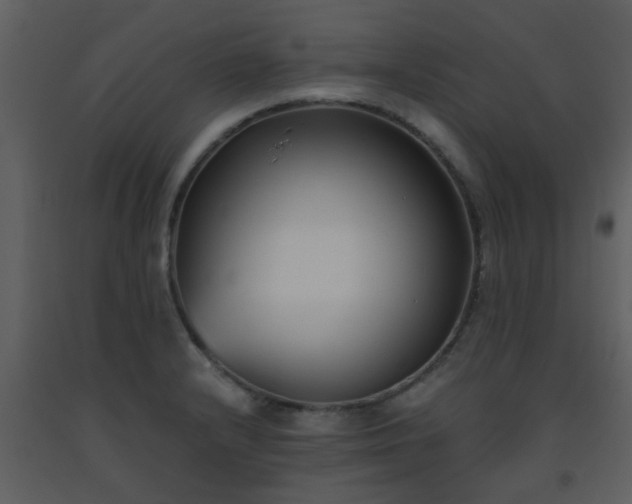 X0000093571232200710221436
