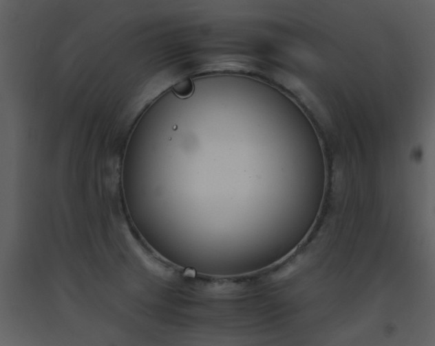 X0000093571233200710221436