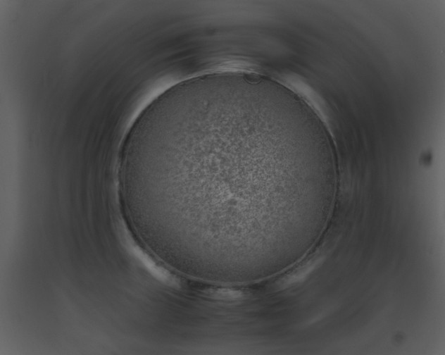 X0000093571235200710221436