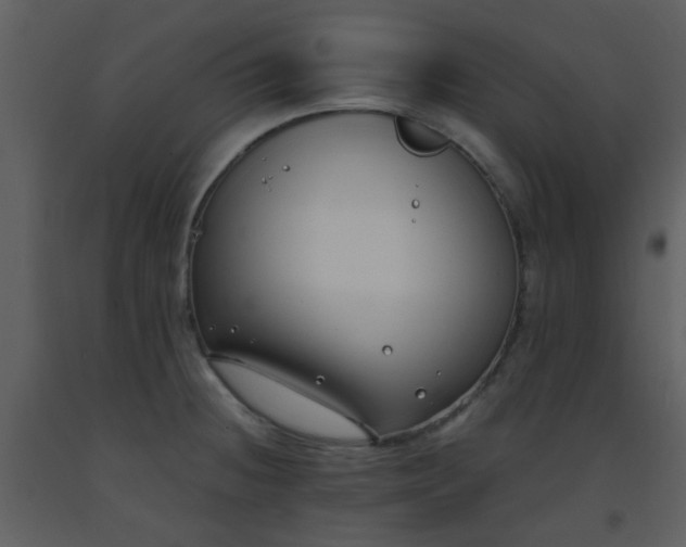 X0000093571236200710221436