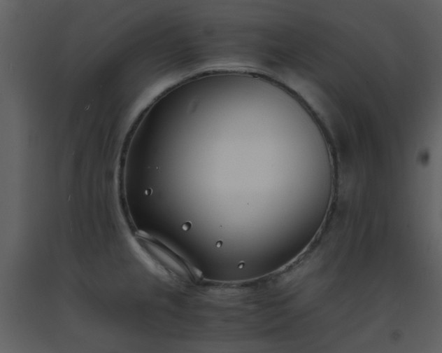 X0000093571237200710221436