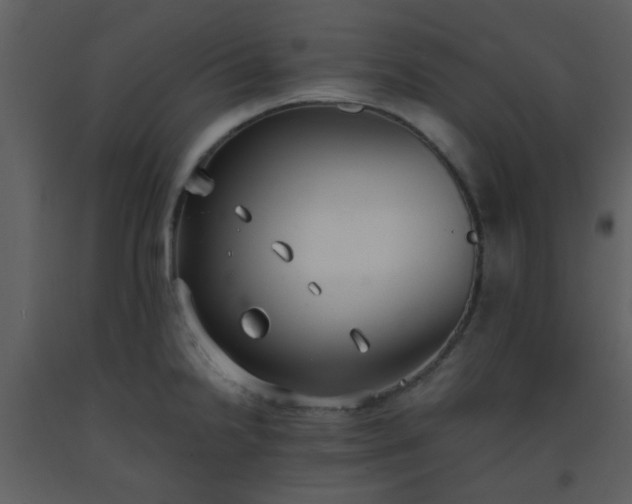 X0000093571238200710221436
