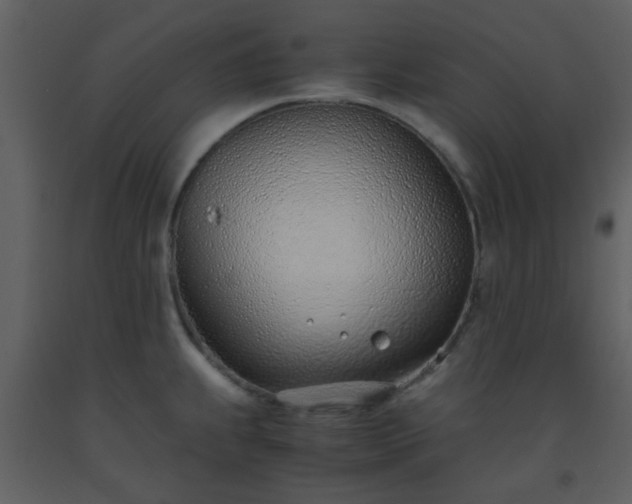 X0000093571239200710221436
