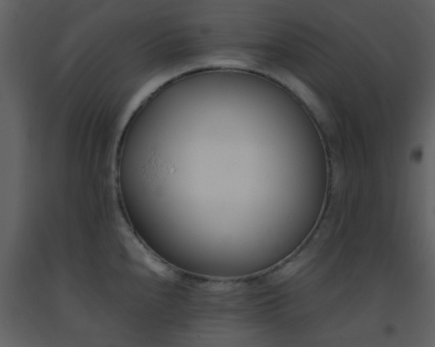 X0000093571240200710221436