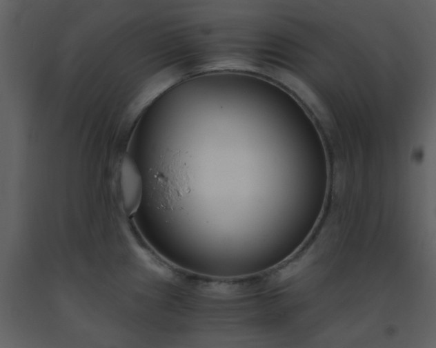 X0000093571241200710221436