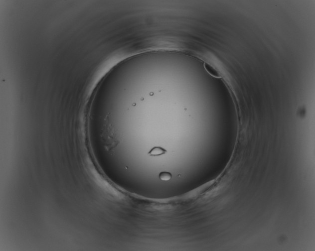 X0000093571243200710221436