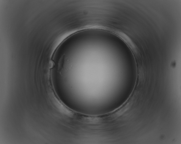 X0000093571244200710221436