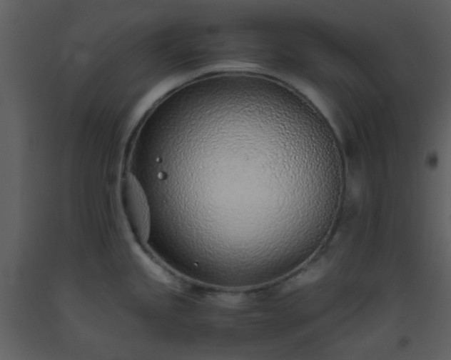 X0000093571245200710221436