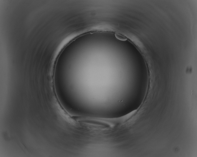 X0000093571248200710221436