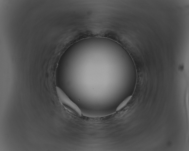 X0000093571249200710221436