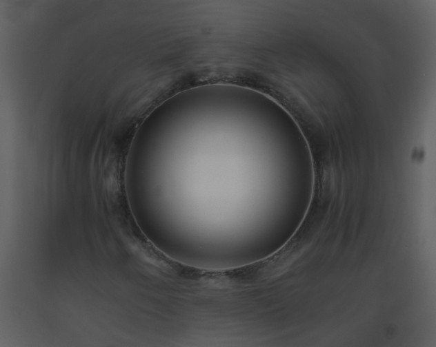 X0000093571250200710221436