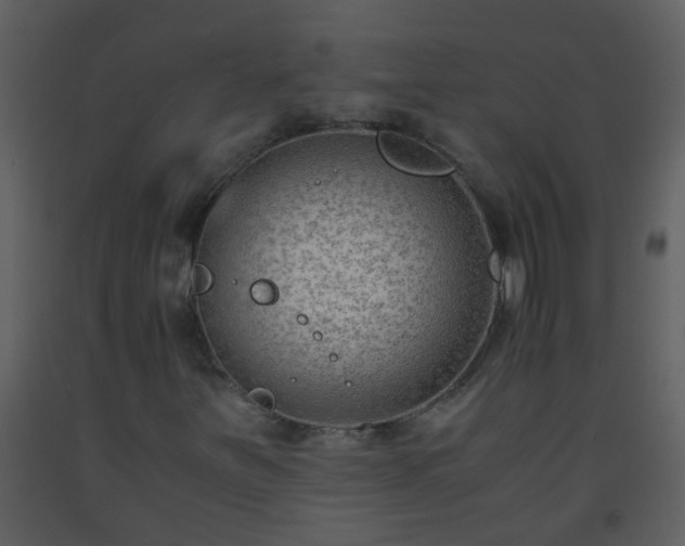X0000093571251200710221436