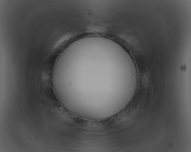 X0000093571254200710221436