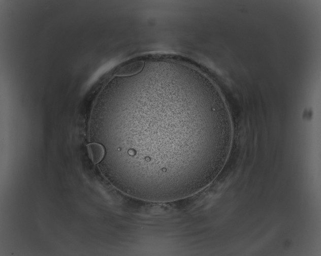 X0000093571255200710221436