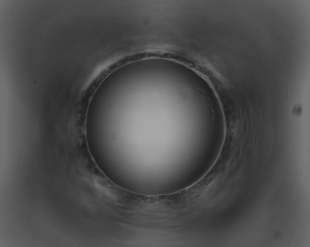 X0000093571256200710221436