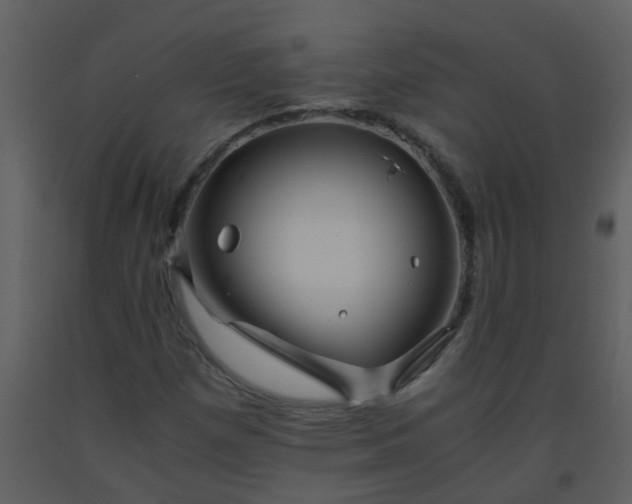X0000093571257200710221436