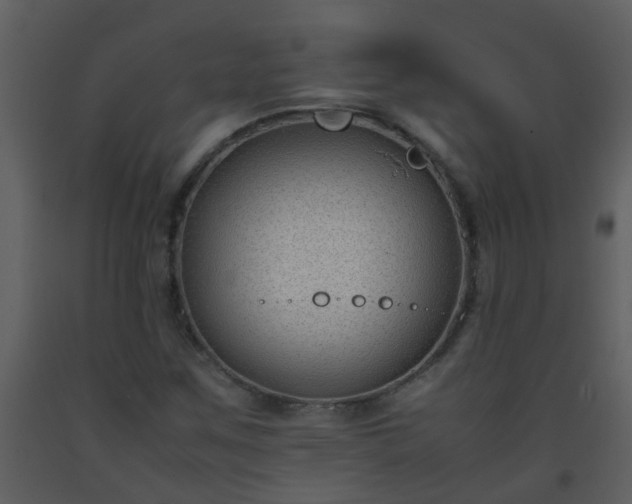 X0000093571259200710221436