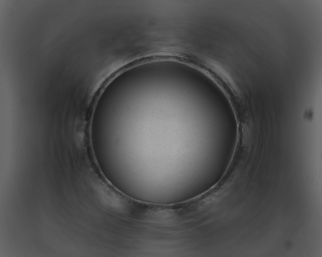 X0000093571260200710221436