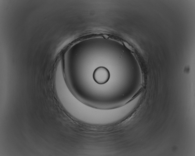 X0000093571261200710221436