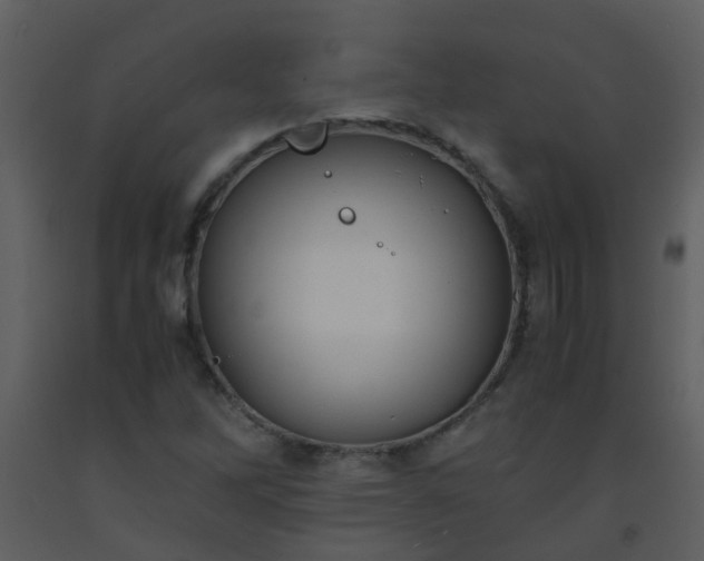 X0000093571262200710221436