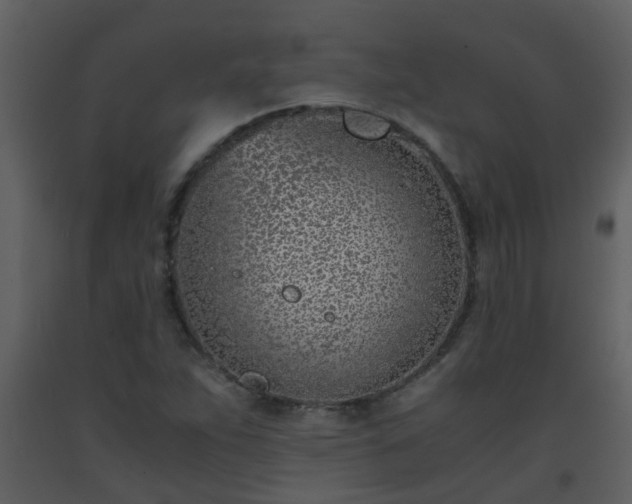 X0000093571263200710221436