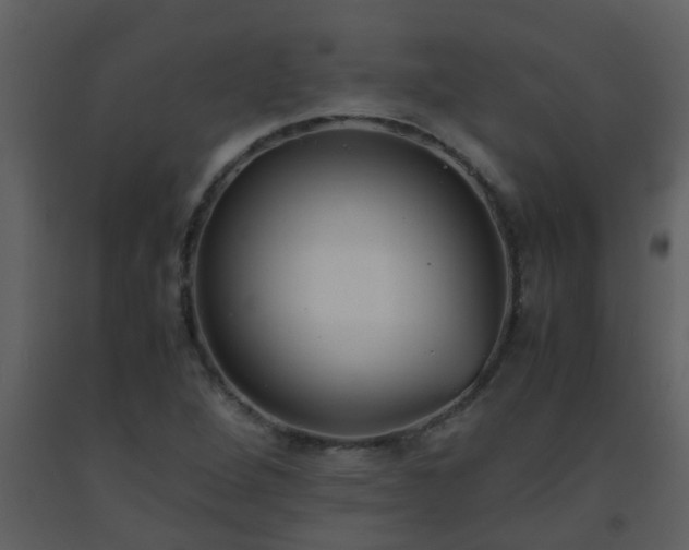 X0000093571264200710221436