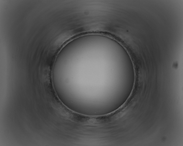 X0000093571265200710221436