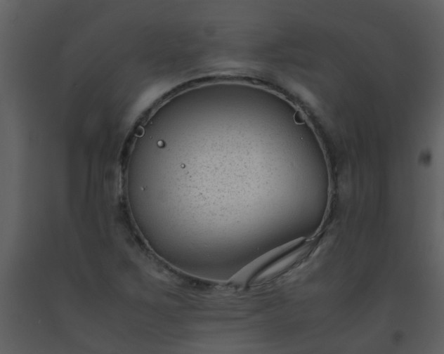 X0000093571267200710221436