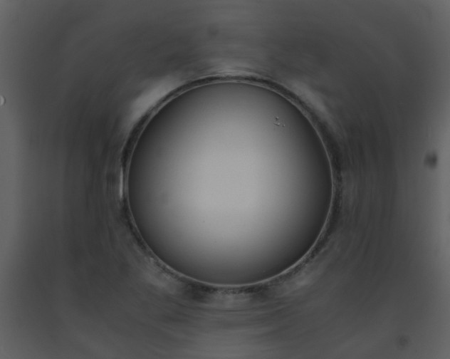 X0000093571269200710221436