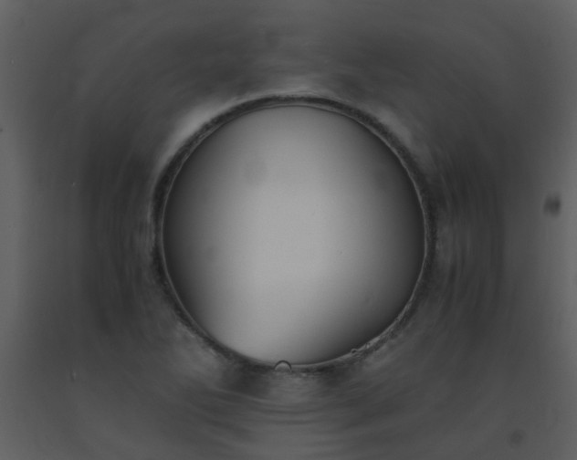 X0000093571270200710221436