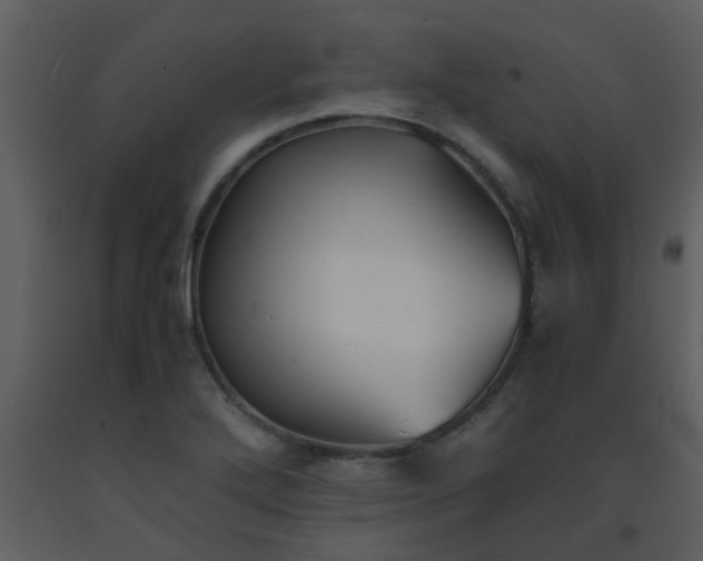 X0000093571272200710221436