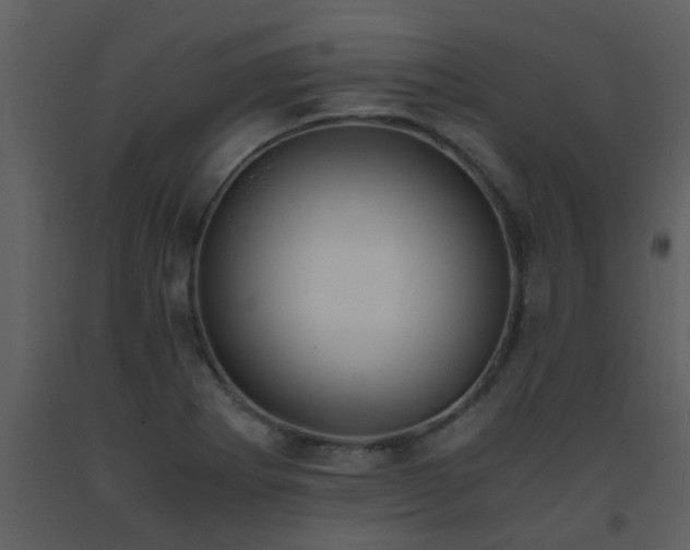 X0000093571273200710221436