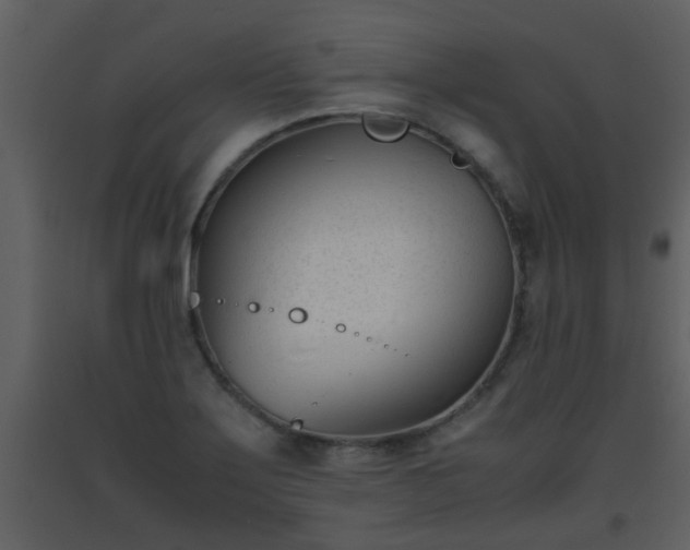 X0000093571275200710221436