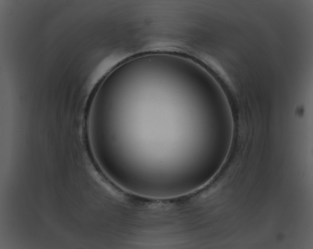 X0000093571277200710221436