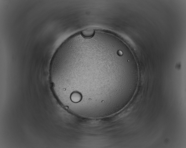 X0000093571279200710221436