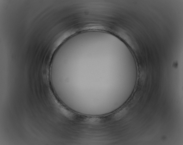 X0000093571282200710221435