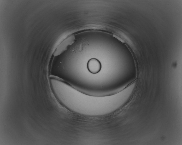 X0000093571283200710221435