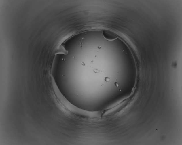 X0000093571289200710221435