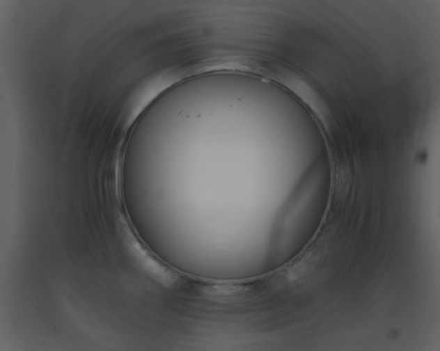 X0000093571290200710221435