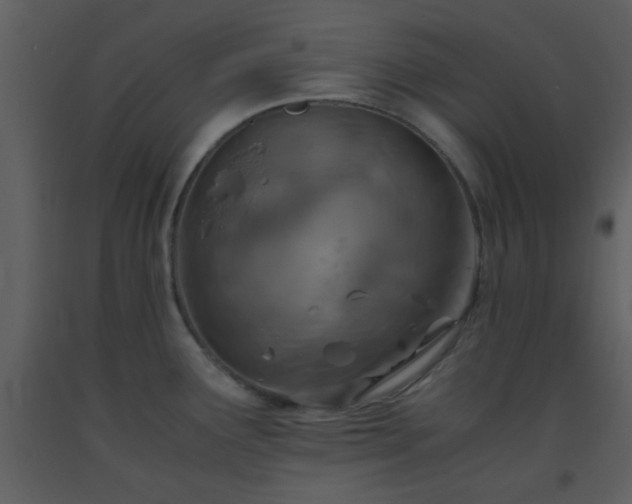 X0000093571291200710221435
