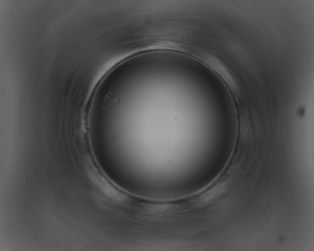 X0000093571292200710221435