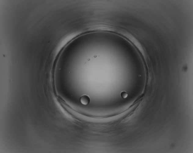 X0000093571293200710221435