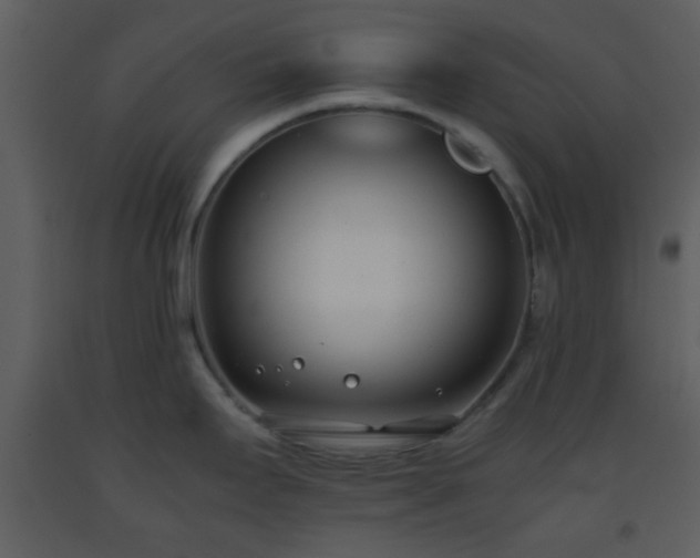 X0000093571295200710221435