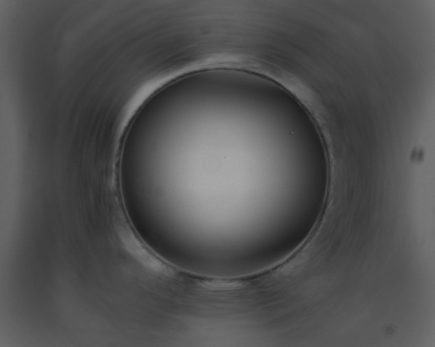 X0000093571296200710221435