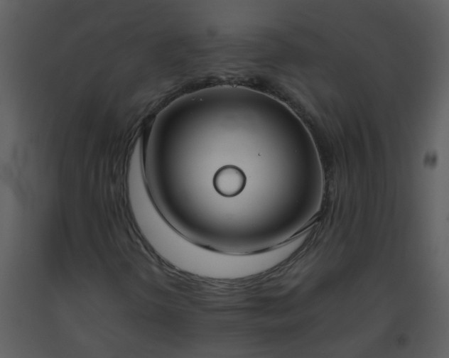X0000093571298200710221435