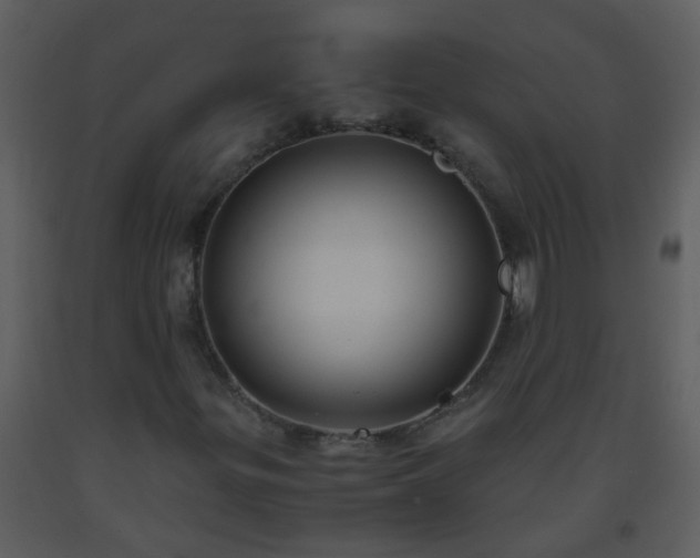 X0000093571299200710221435
