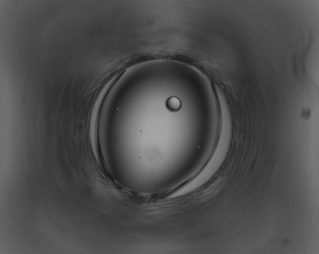 X0000093571300200710221435