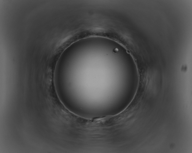 X0000093571301200710221435